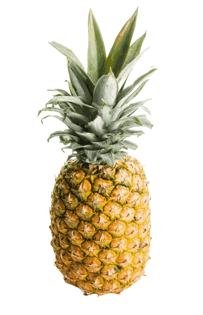 RIPE